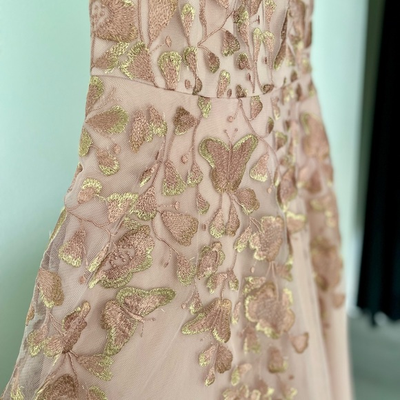 Tea Length Pale Pink crinoline dress, embroidery lace iridescent Butterflies 🦋 - Picture 2 of 8